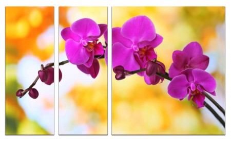 Модульные картины из 3х частей 80х140 VJ633